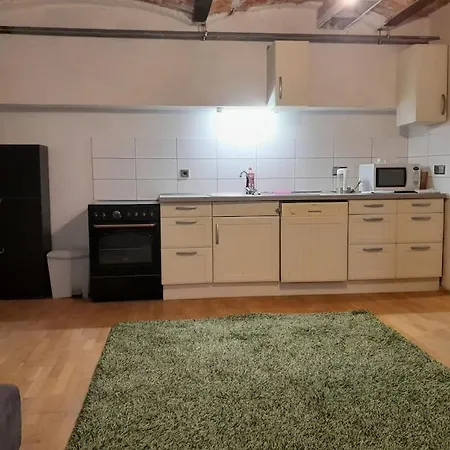 Central 2-room Souterrain Flat Brno