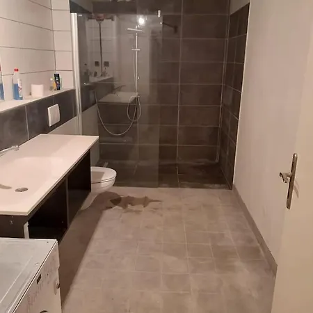 Central 2-room Souterrain Flat Brno